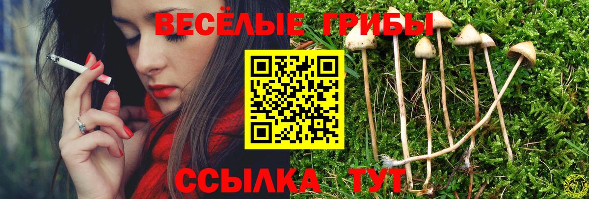 Псилоцибиновые грибы Cubensis  Вход с VPN  купить наркотики цена  Калининград 